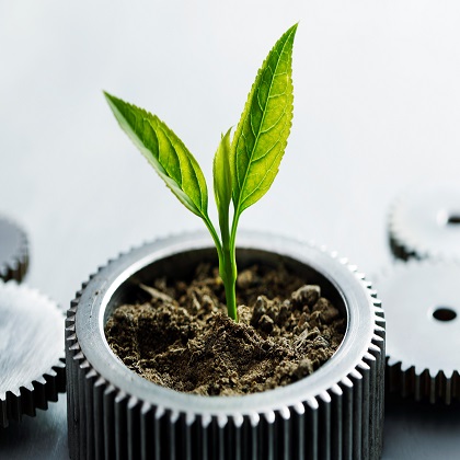 Sustainability