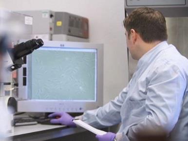 R&D Research and Development